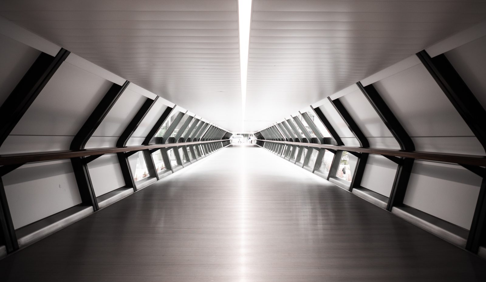 Hürriyete Doğru, Uzun, İnce Bir Yol: Daron Acemoğlu ve James Robinson Üzerine