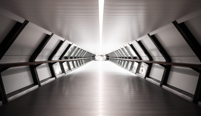 Hürriyete Doğru, Uzun, İnce Bir Yol: Daron Acemoğlu ve James Robinson Üzerine Hürriyete Doğru, Uzun, İnce Bir Yol: Daron Acemoğlu ve James Robinson Üzerine