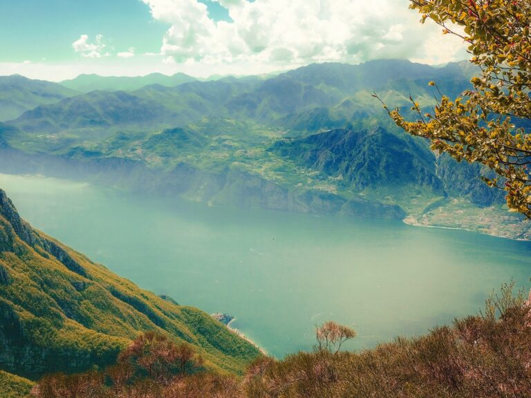 Logos, Ethos ve Pathos: Ali Babacan’ın Siyasal Retoriği Üzerine Bir Derkenar