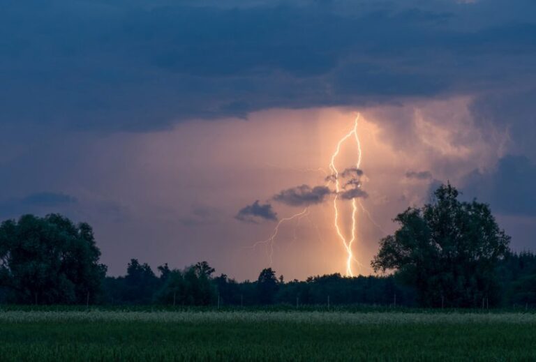 Kitap Yorum: Sarah Bakewell, At the Existentialist Cafe: Freedom, Being and Apricot Cocktails