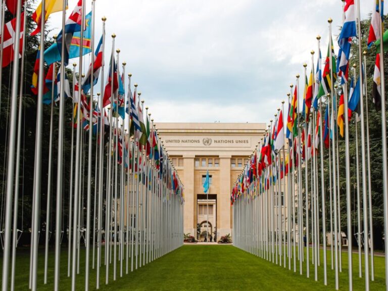 Bir Sosyal Ağ Olarak Cumhurbaşkanlığı Konuk ve Ziyaretleri