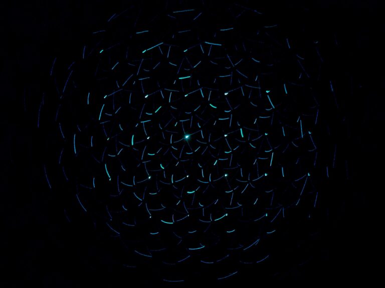 Özgünlük Sorunsalı