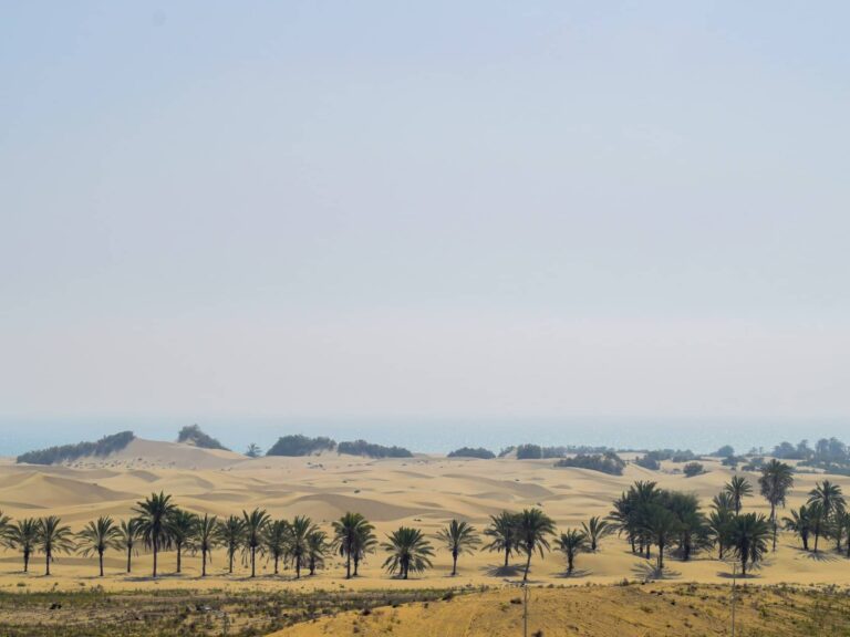 Kitap Yorum: Jorge Luis Borges, Alçaklığın Evrensel Tarihi