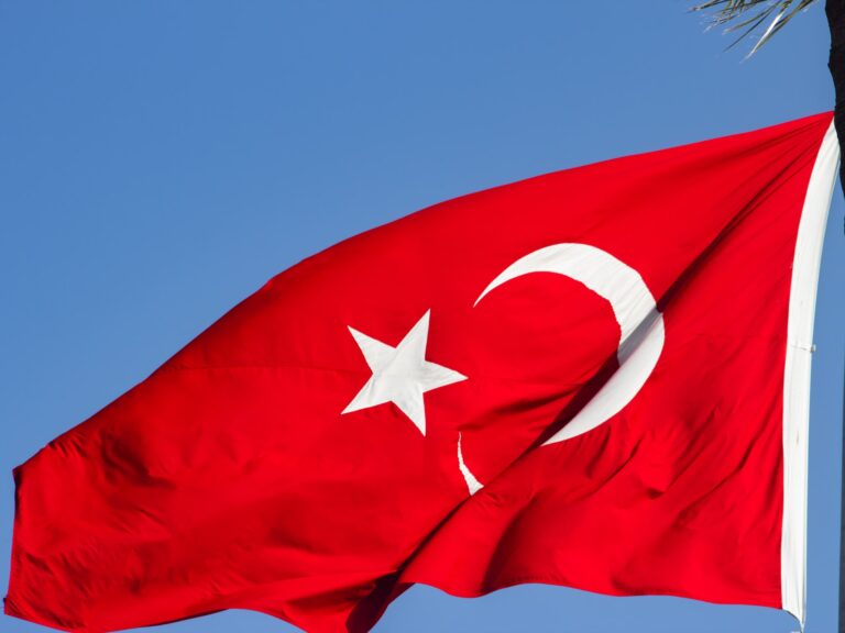 Devletin Çocuğu: Şehirli Seküler Milliyetçilik