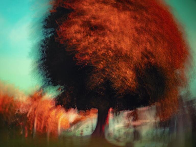 Gölge İle Yüzleşmek