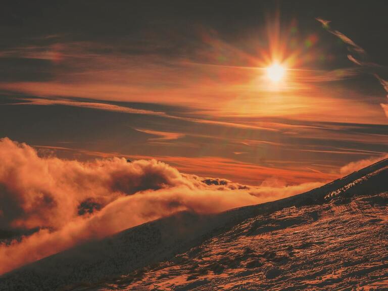 Devlet Kapasitesi Liberteryenizminin Yetersizliği