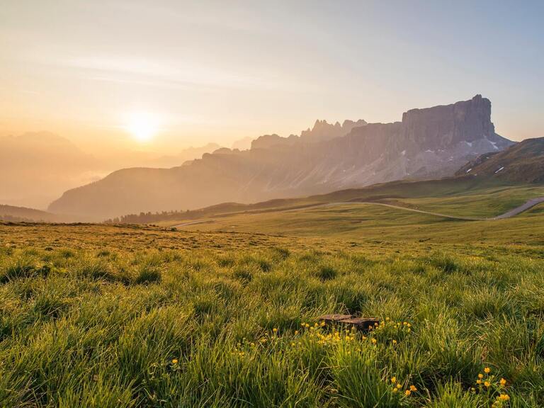 Neoliberal Düzende Devlet Kapasitesi ve Müdahalesi Tartışması