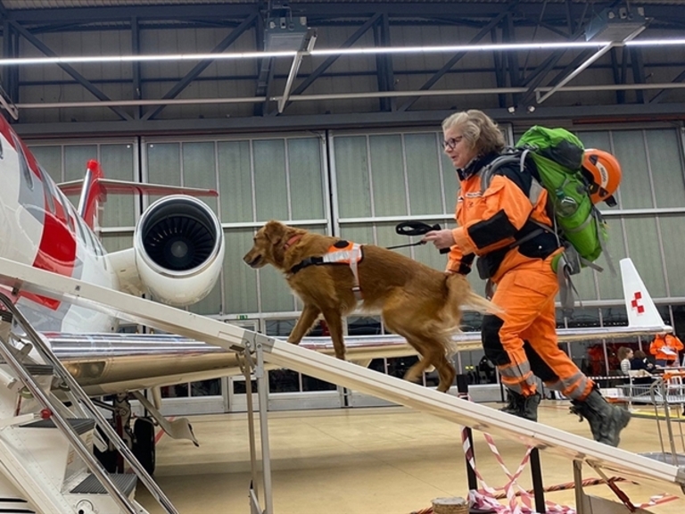 Ne Fatih’in ne Atatürk’ün Emaneti, Yepyeni Bir Ülke İhtiyacı!