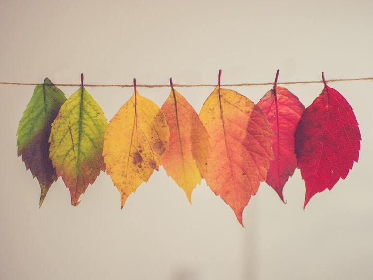 Hegel’den Mises’e Devlet ve Bürokrasinin Dönüşümü