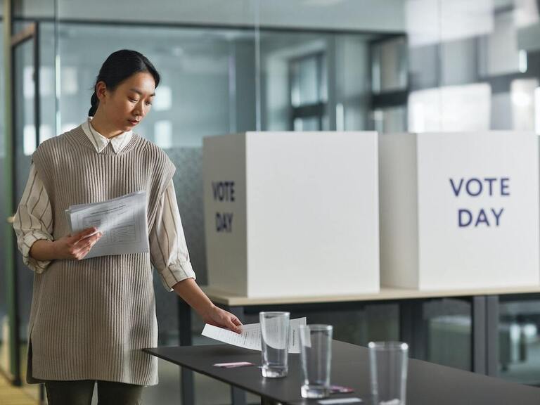 Bir Dönmenin Seçim Güncesi