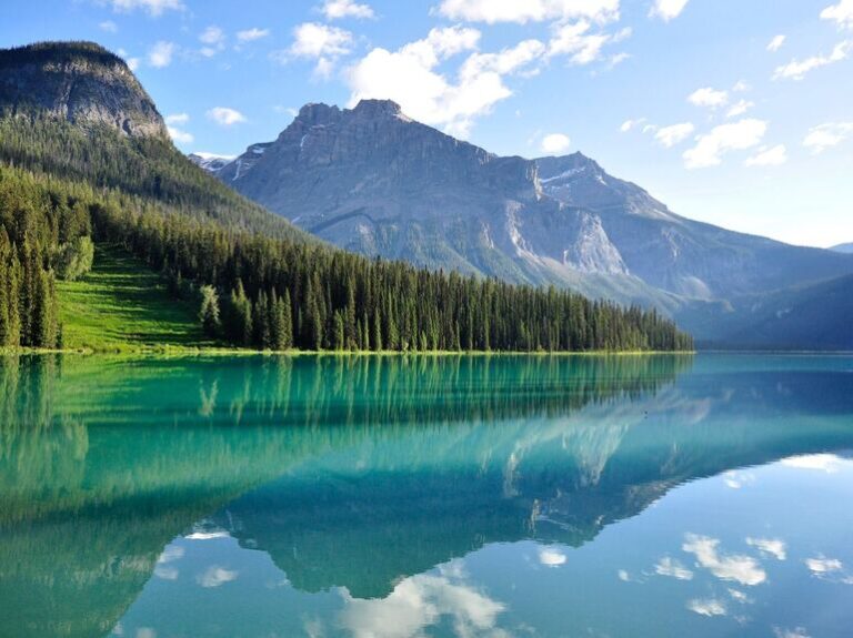 Kapitalizm Tekellere Yol Açar mı?