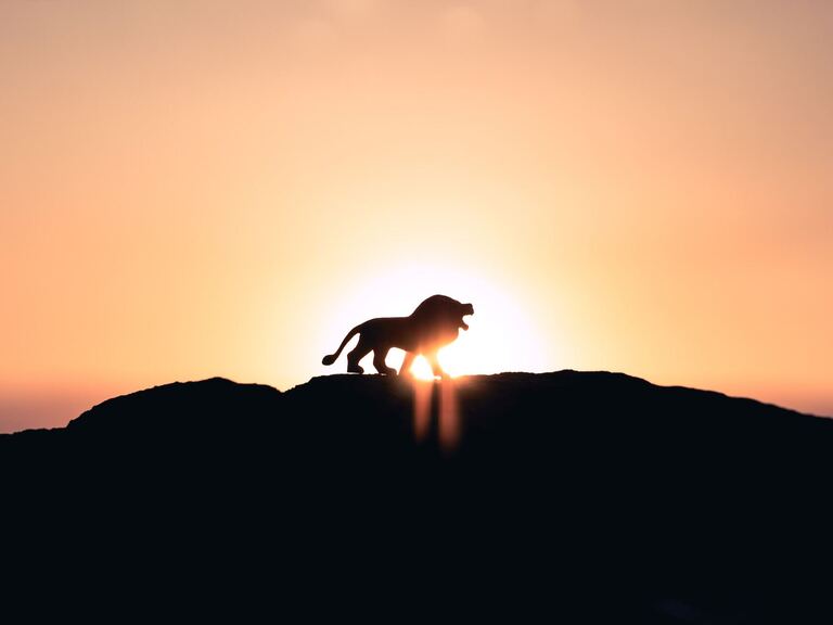 Lider Odaklı Siyaset ve Türkiye: Konjonktür ve Köken