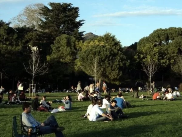 Z Kuşağının Siyasete Bakışı: Yerel Seçimler ve İstanbul