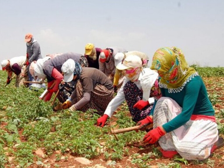Türkiye’de İşgücü Piyasası: Perşembe’nin Gelişi Çarşamba’dan Belli midir?