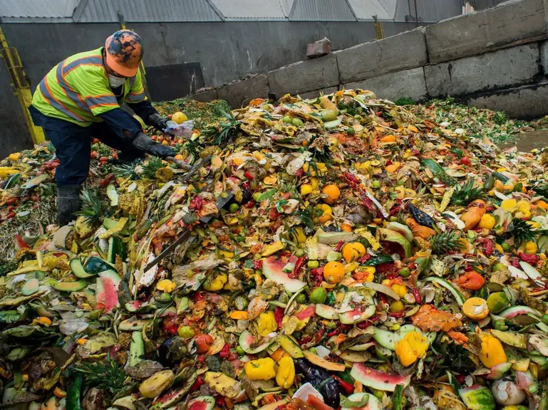 Serpme Kahvaltının İsraf Edilen Zeytinleri