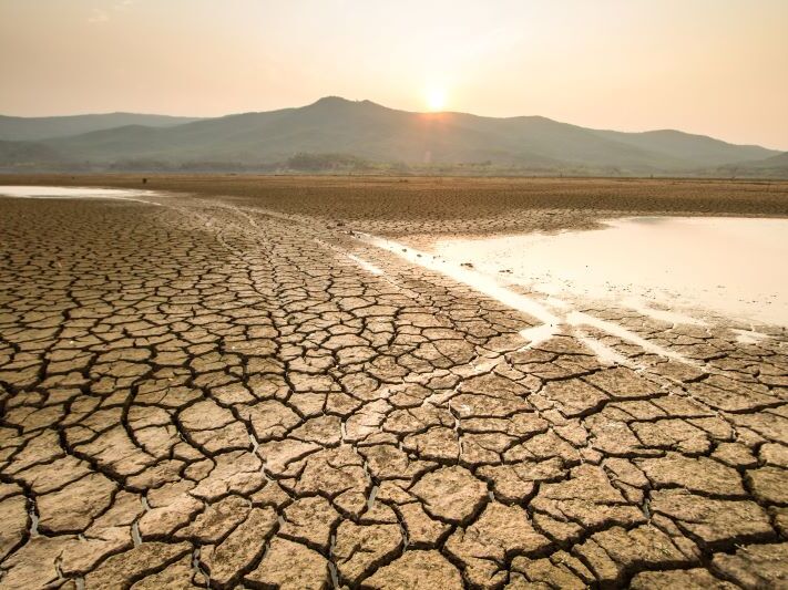 Siyasetsiz Siyaset: Türkiye’de İklim Politikalarının Sahipsizliği