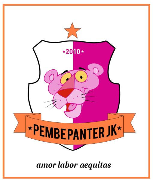 İdeolojiler Üstü İletişim Dili Olarak Futbol: Pembe Panter Jimnastik Kulübü İdeolojiler Üstü İletişim Dili Olarak Futbol: Pembe Panter Jimnastik Kulübü