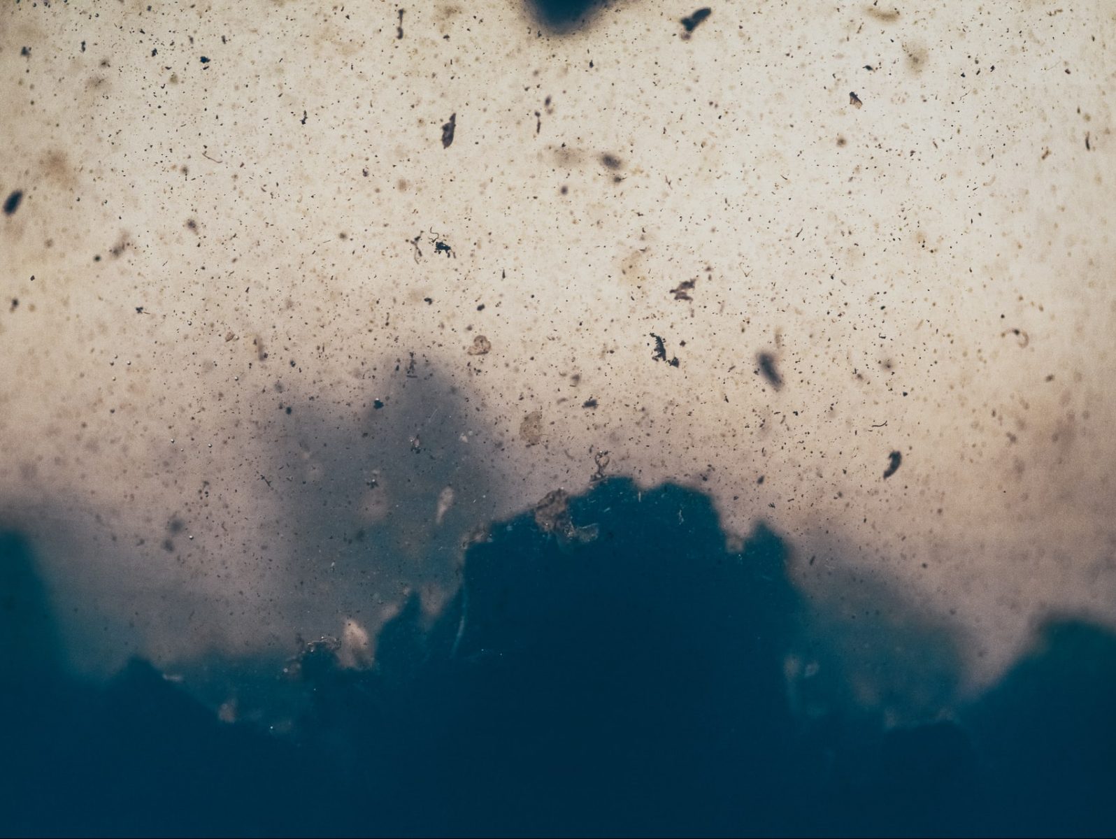 Ya Parlamenter Sistem Ya Kaos: Rasim Ozan Kütahyalı’nın Yolu