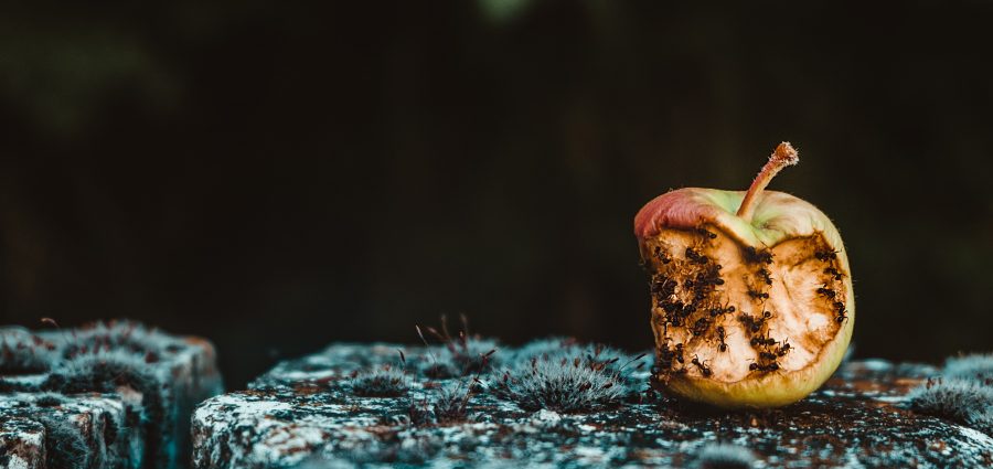 1997’lerden 2010’lara 28 Şubat’lar: Adalet, Siyaset, Pişmanlık ve İdealist Hatıralarım