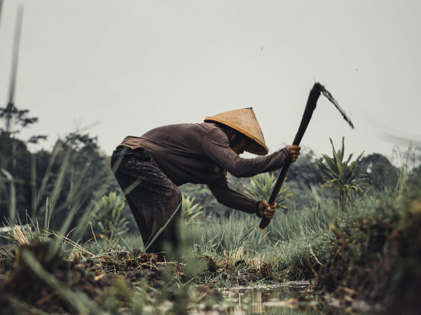 Asya Derinliğini Kurmak: Türkiye-Endonezya İlişkileri